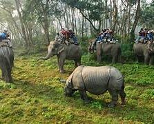 Chitwan Tour