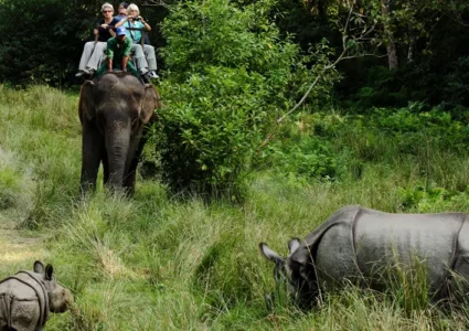 A seneric views during Jungle Safari on Chitwan