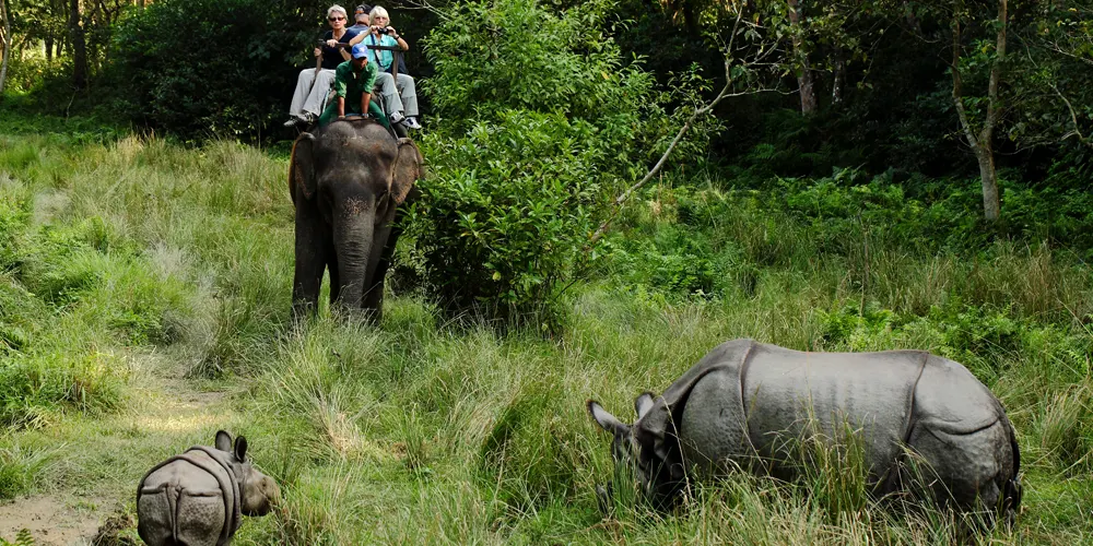 A seneric views during Jungle Safari on Chitwan